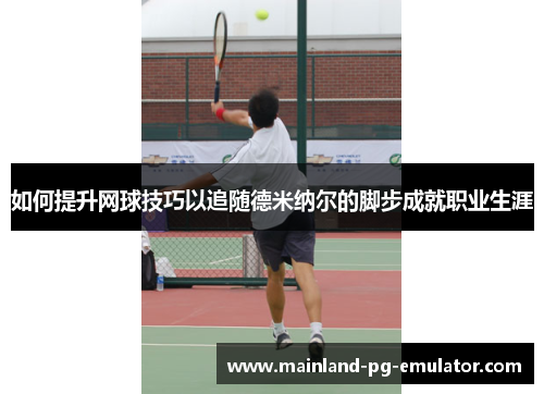 如何提升网球技巧以追随德米纳尔的脚步成就职业生涯 如何提升网球技巧以追随德米纳尔的脚步成就职业生涯