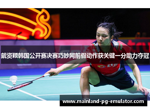 戴资颖韩国公开赛决赛巧妙网前假动作获关键一分助力夺冠 戴资颖韩国公开赛决赛巧妙网前假动作获关键一分助力夺冠