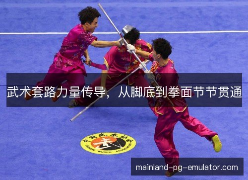 武术套路力量传导，从脚底到拳面节节贯通