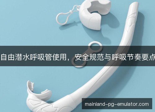 自由潜水呼吸管使用，安全规范与呼吸节奏要点