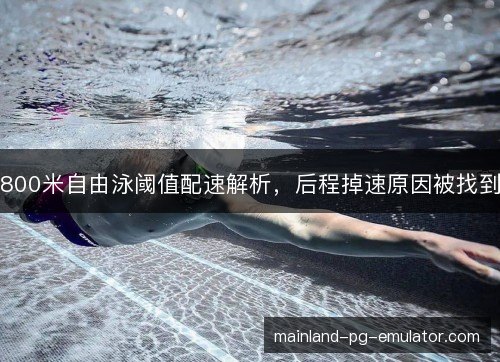 800米自由泳阈值配速解析，后程掉速原因被找到